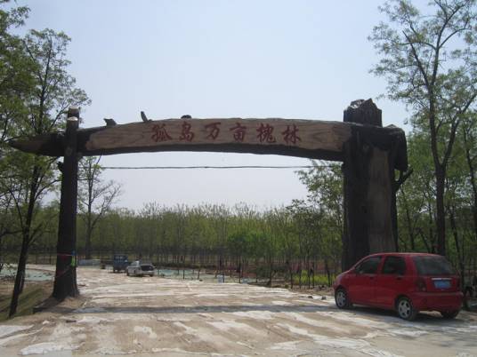湿地槐花节