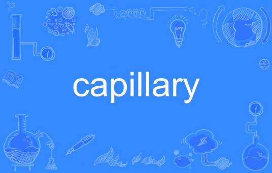 capillary