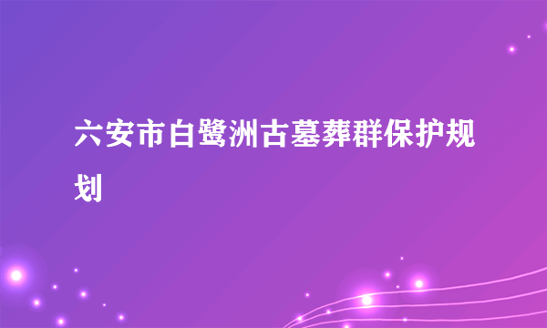 六安市白鹭洲古墓葬群保护规划
