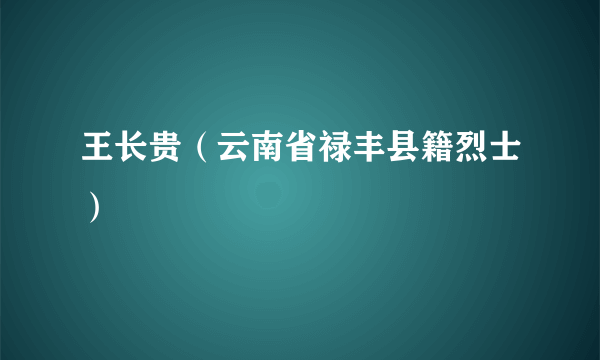 王长贵（云南省禄丰县籍烈士）