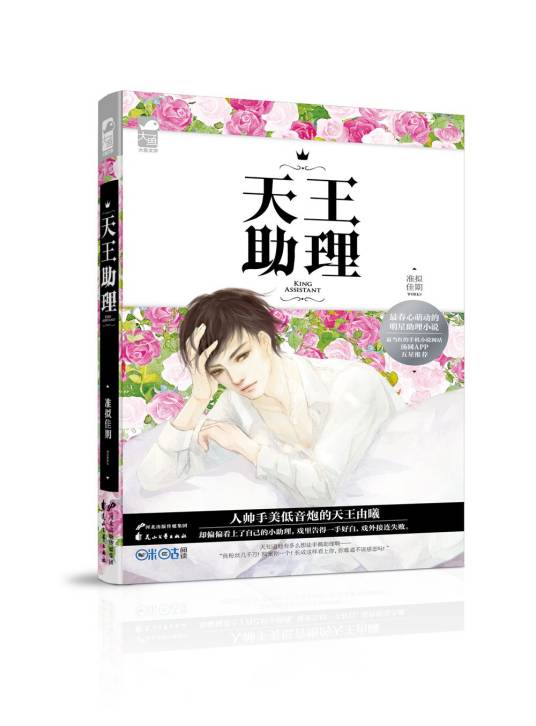 天王助理（2016年花山文艺出版社出版的图书）
