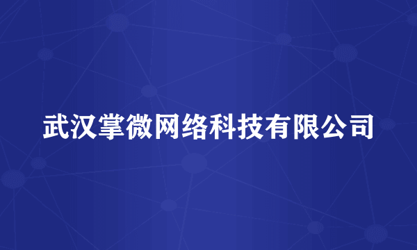 武汉掌微网络科技有限公司