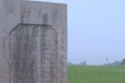 常德细菌战（日军在常德的细菌战）