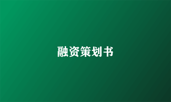 融资策划书