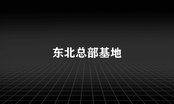东北总部基地