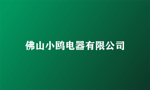 佛山小鸥电器有限公司
