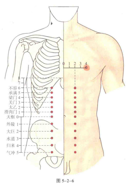 不容（中医穴位）