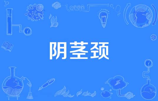 阴茎颈
