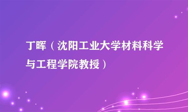 丁晖（沈阳工业大学材料科学与工程学院教授）